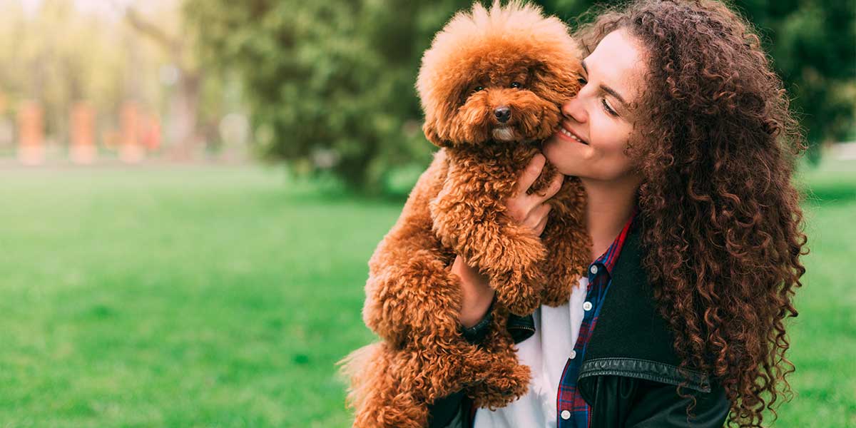 Razas de perros más propensas a enfermar