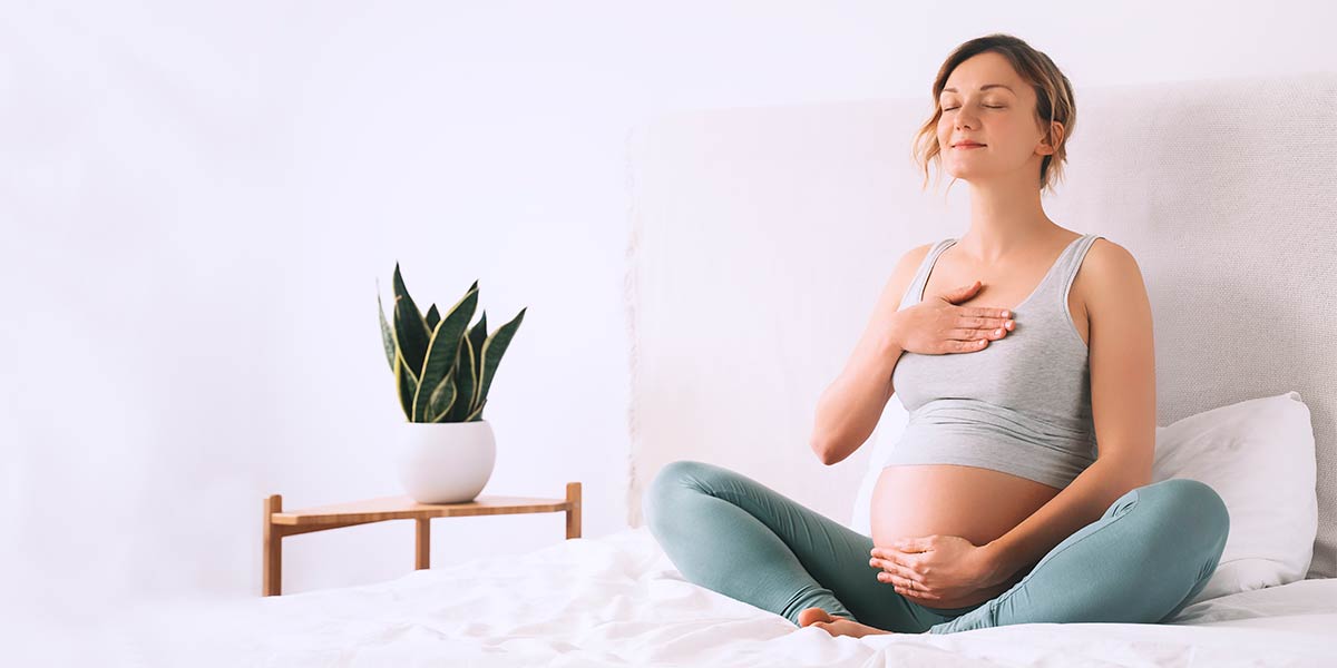 Guia Para Un Embarazo Consciente